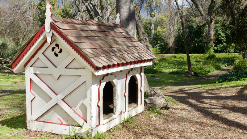 3 Things You Should Tell Your Dog House Designer